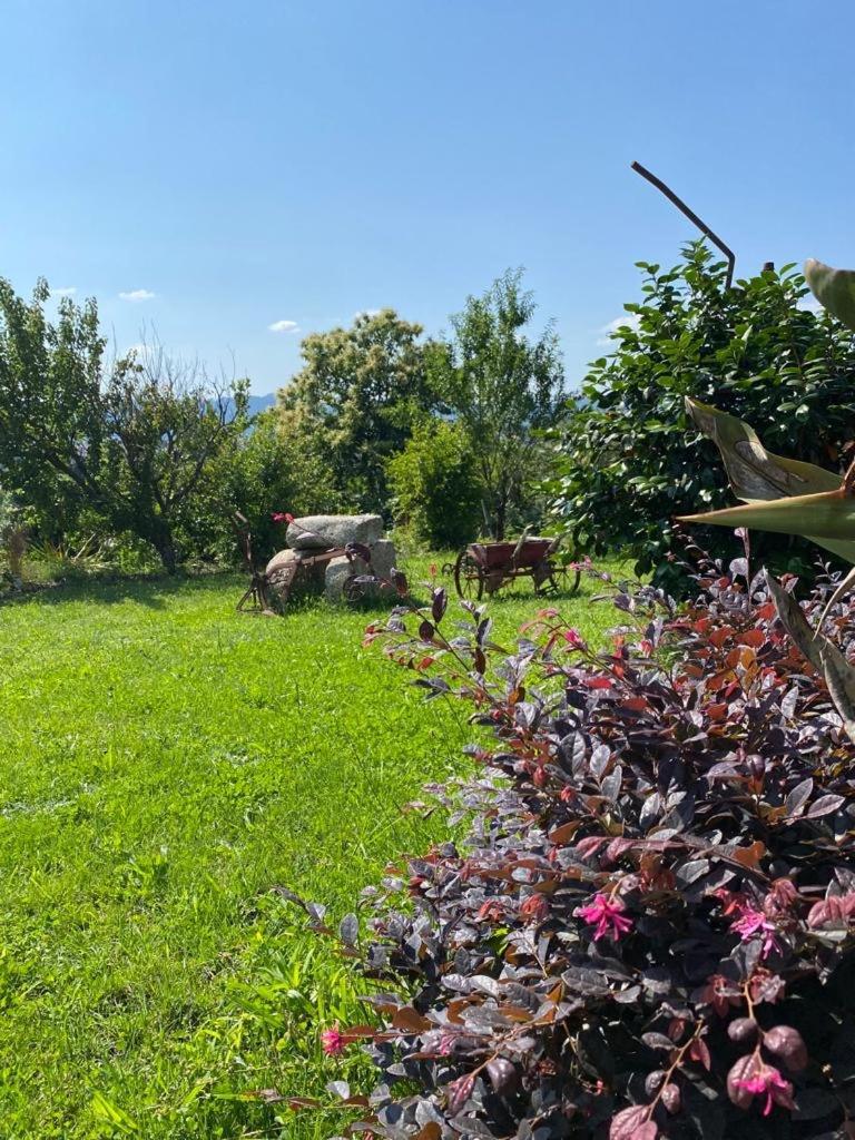 Hotel Quinta Da Tulha By Vimahotels Guimarães Eksteriør billede